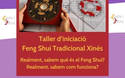 Feng Shui – Taller de iniciación