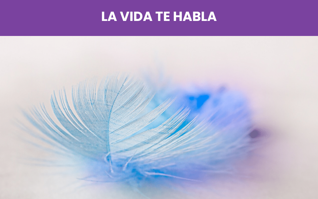 Taller aprende a leer las señales, la vida te habla