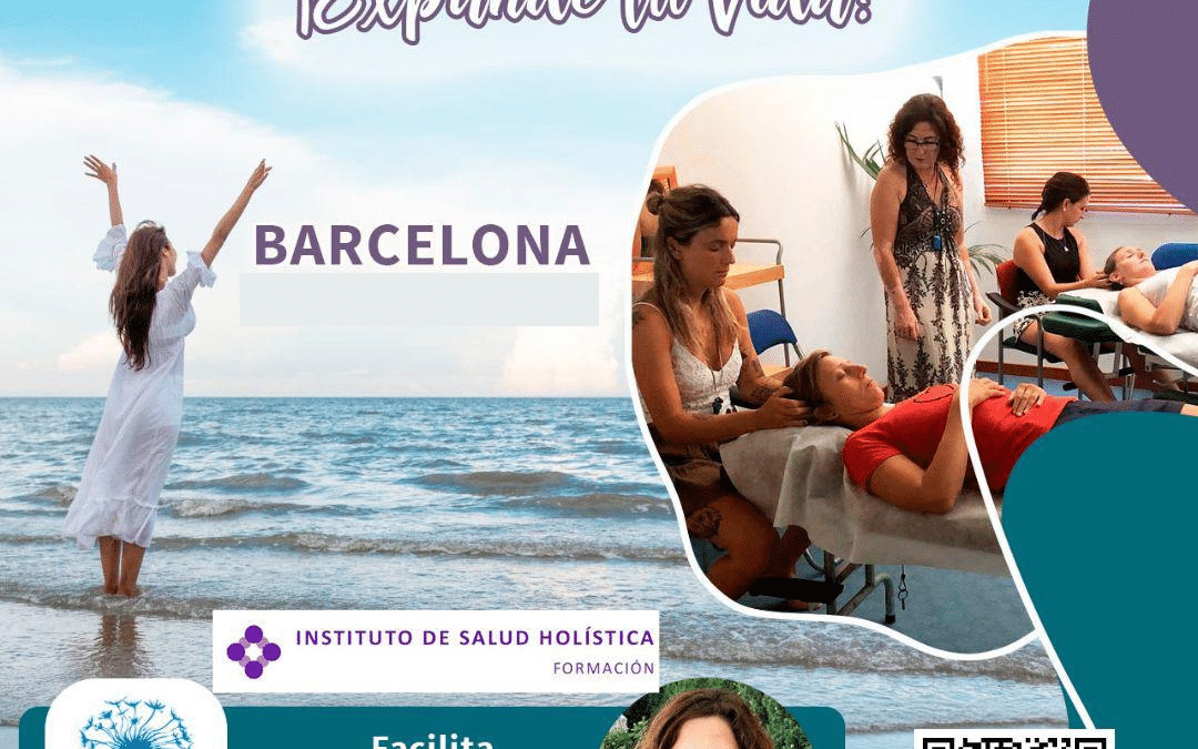 Barras de Acces - Formación