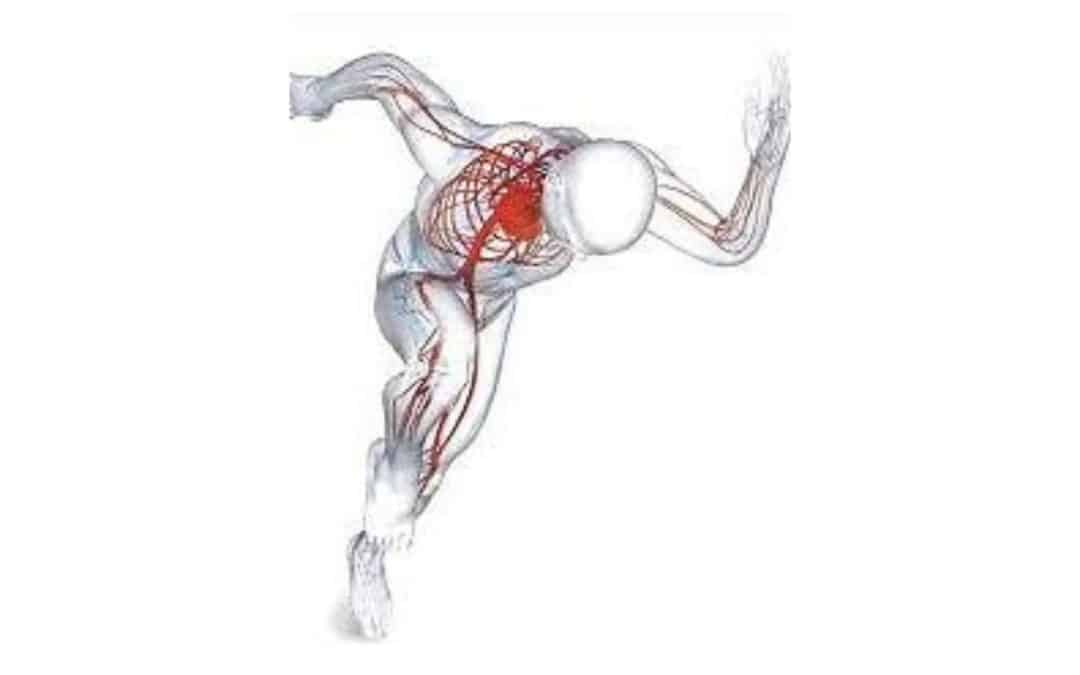 BEMER, terapia físico-vascular